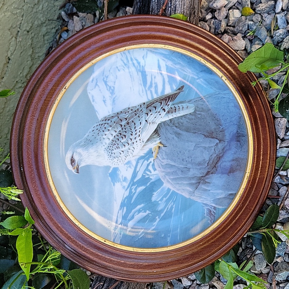 Vintage 1989 The White Gyrafalcon Collectible Plate Wood Round Frame
